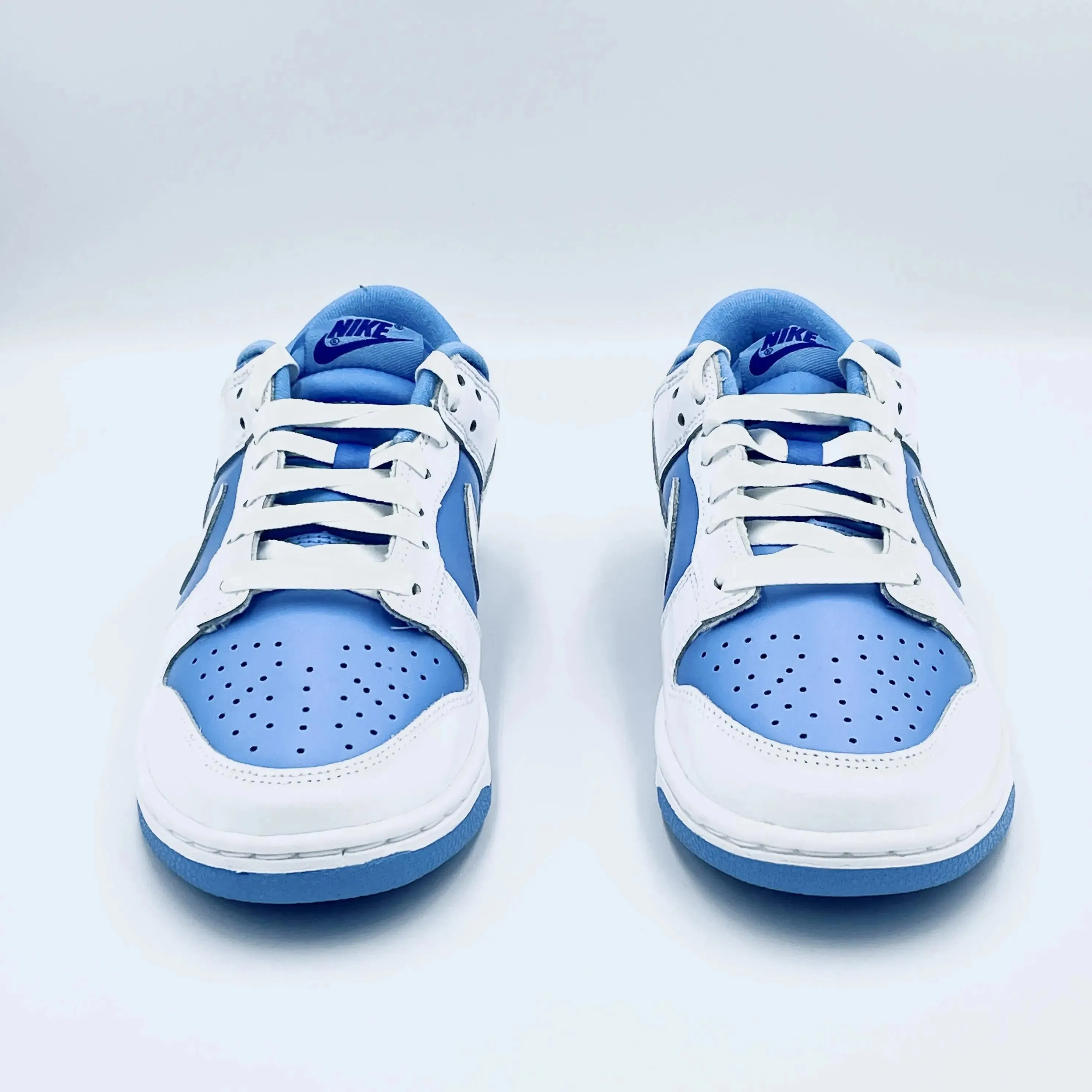 Nike Dunk Low Reverse UNC