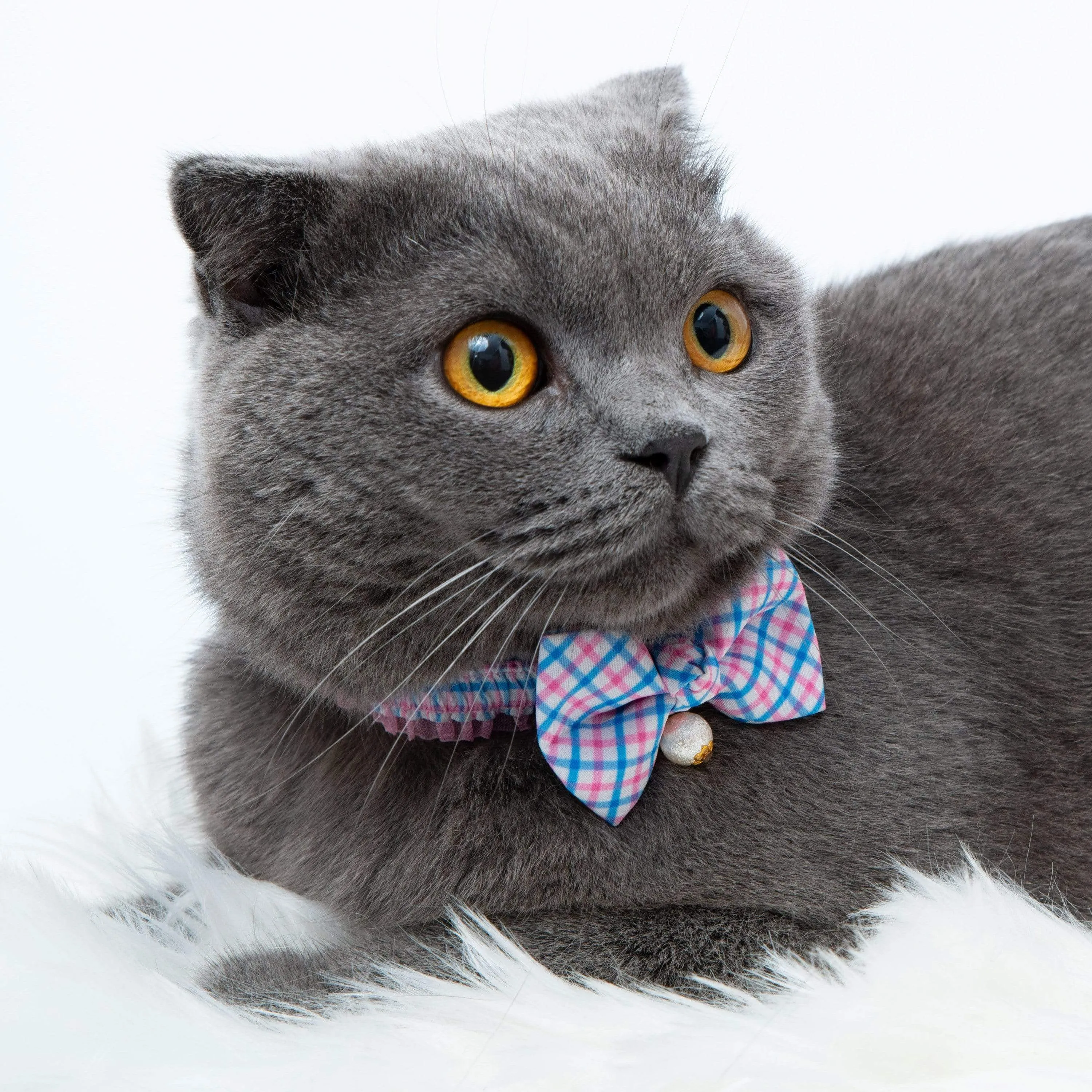 Plaid Bowtie Cat Collar with Pearl