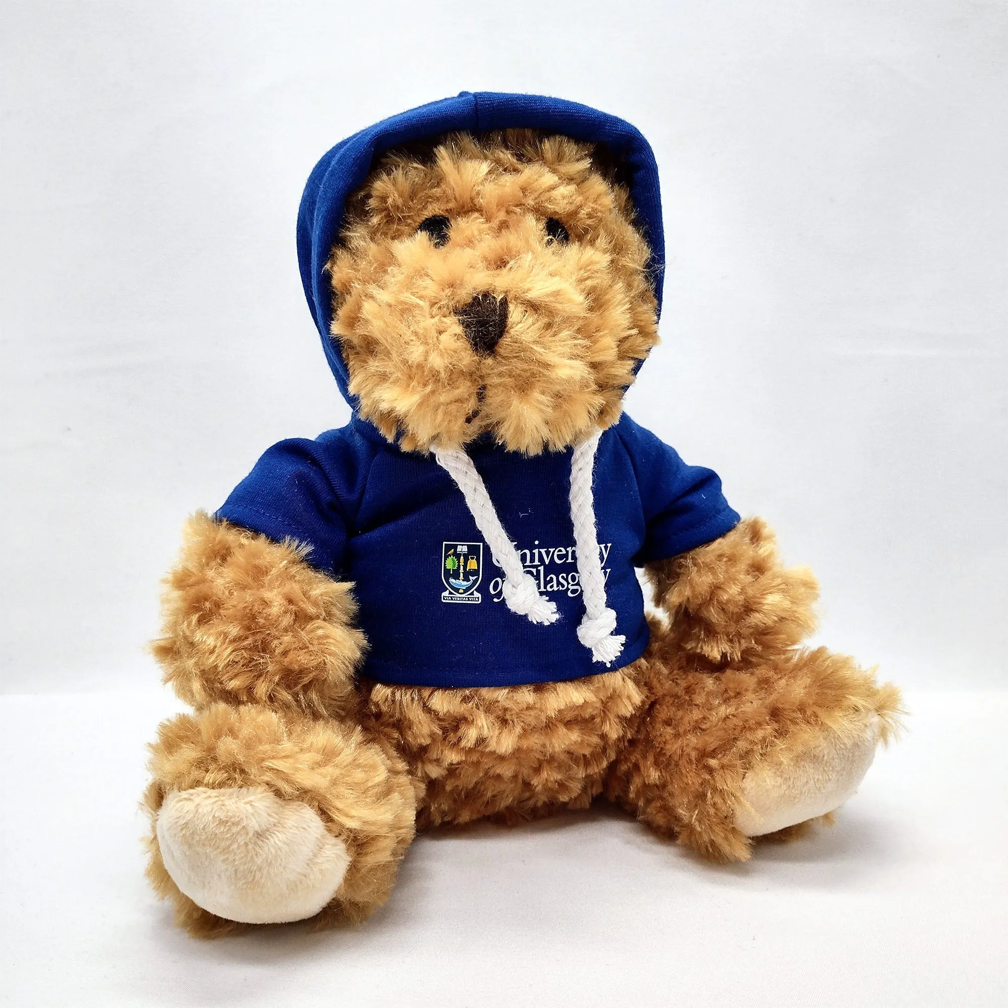 University Hoodie Bear