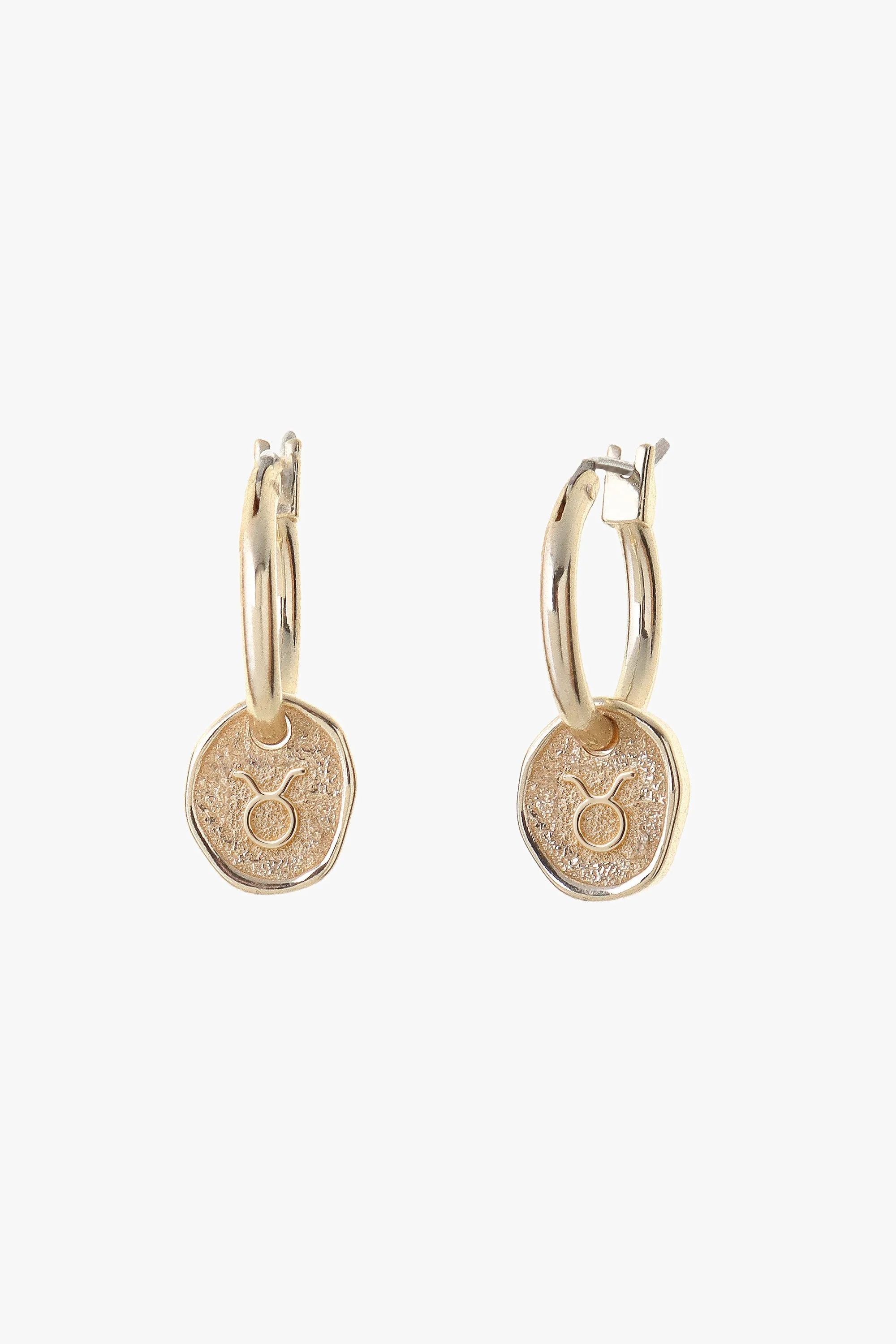 Zodiac Earrings