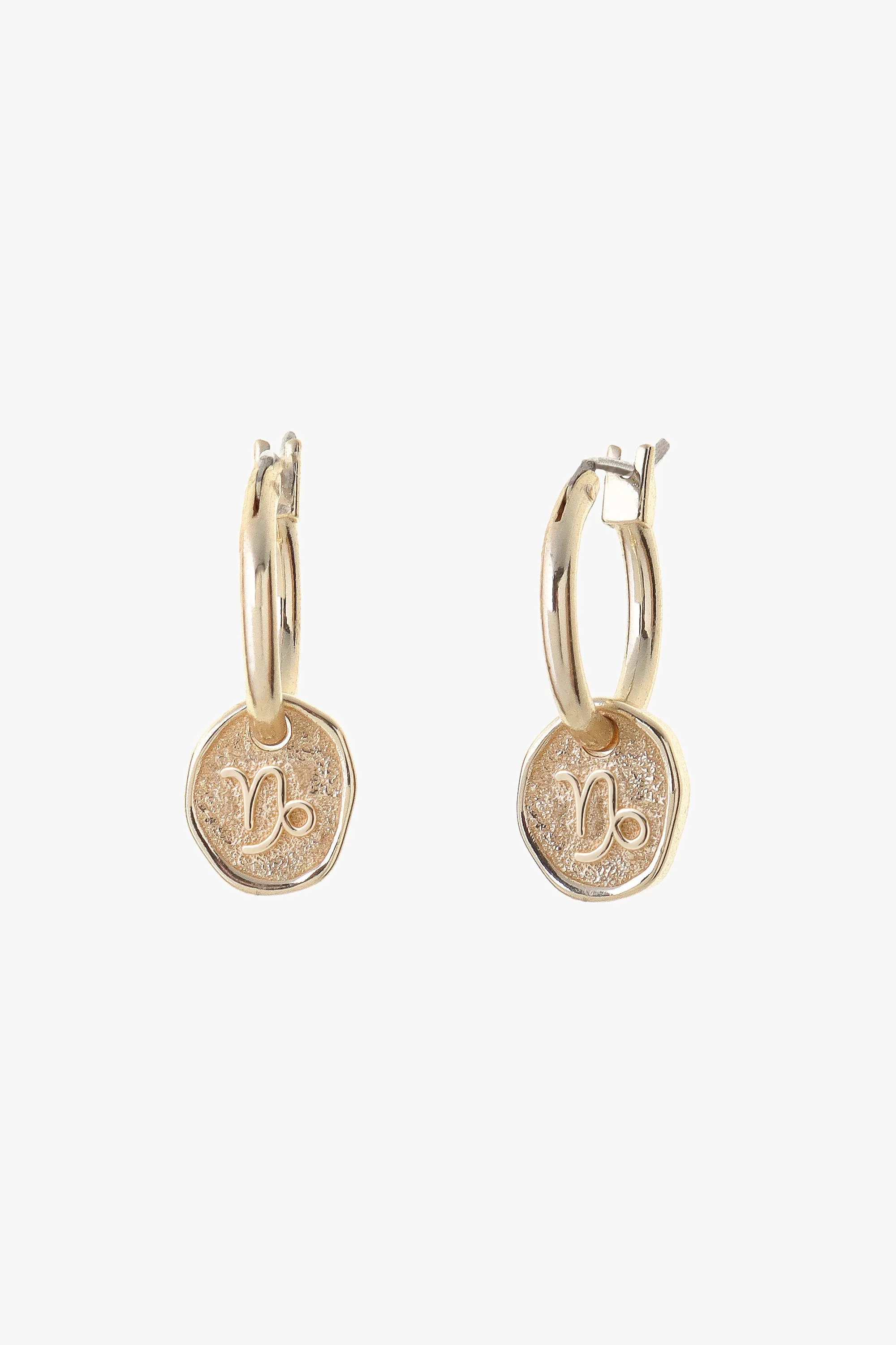 Zodiac Earrings